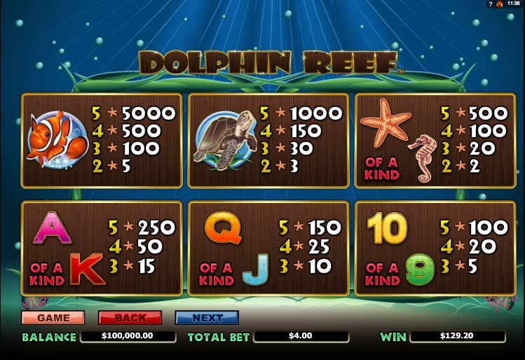 Dolphin Reef: the bonus system.